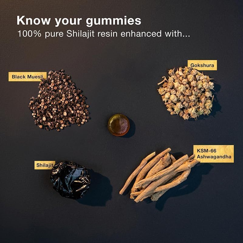 Himalayan Shilajit Gummies