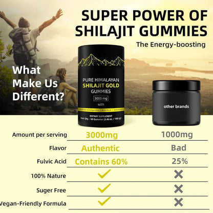 Himalayan Shilajit Gummies