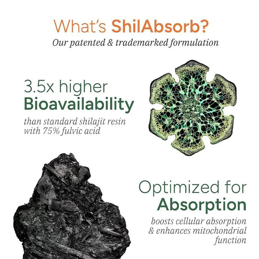 10 in 1 Shilajit Gummies