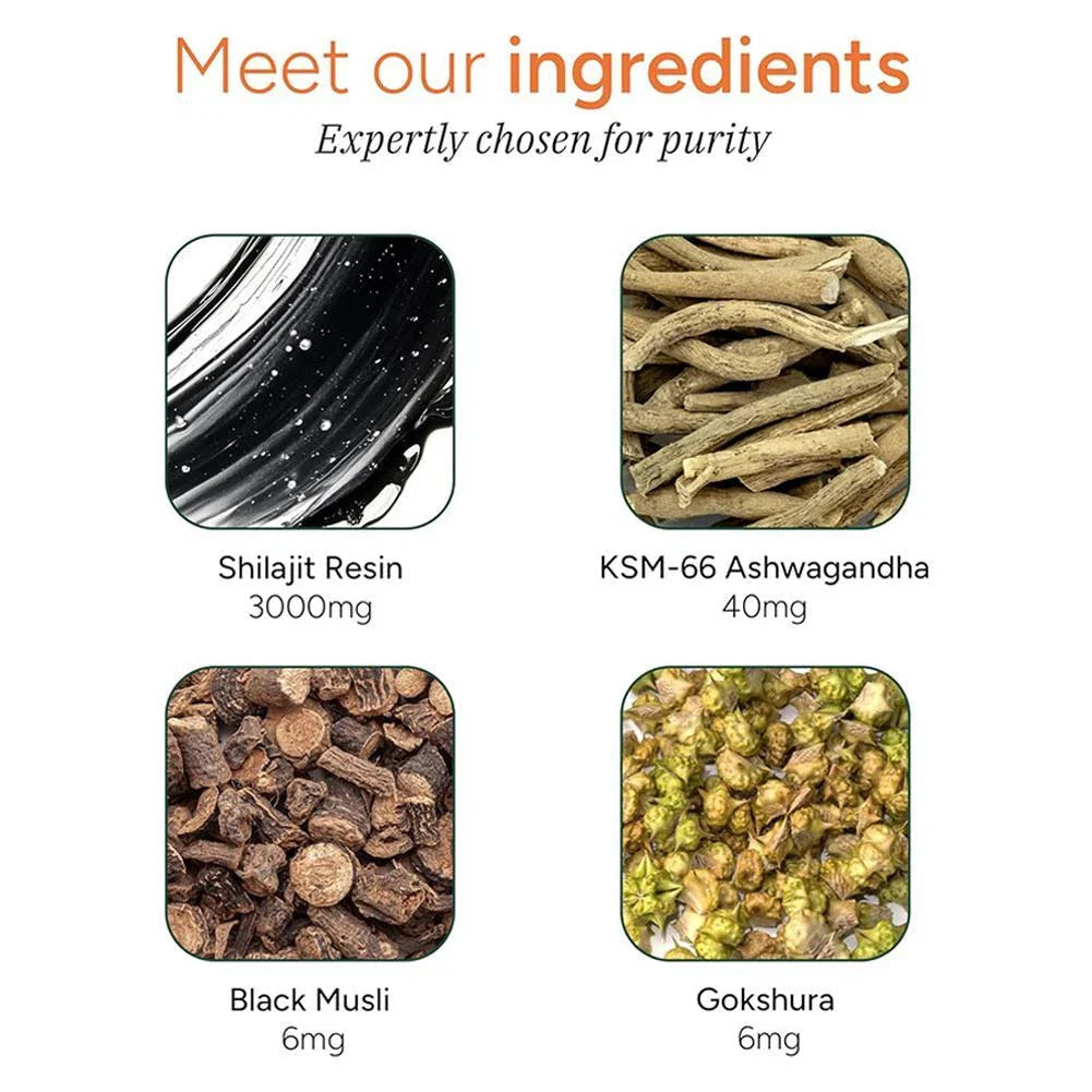 10 in 1 Shilajit Gummies